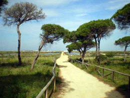 Senderismo en Chiclana